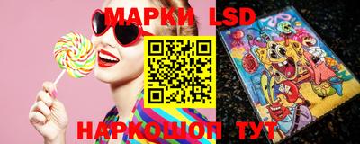 гидропоника Будённовск